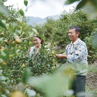 廖興：不畏艱辛實現(xiàn)“油茶夢”